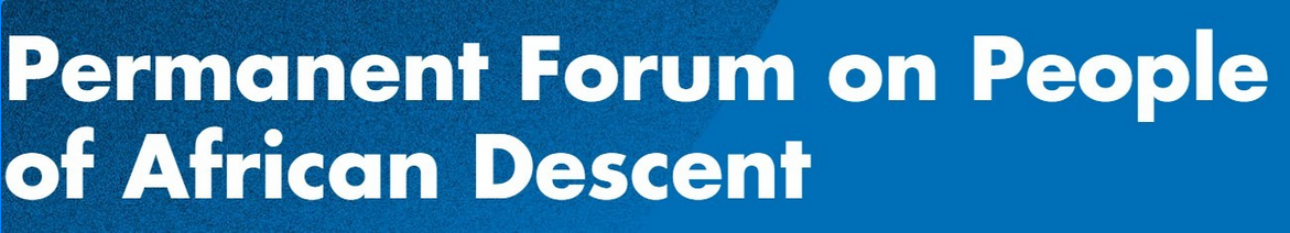 Read more about the article BAI and IJDH at the Second Session of the UN Permanent Forum on People of African Descent